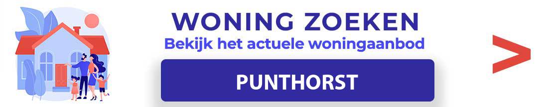 woning-te-koop-punthorst