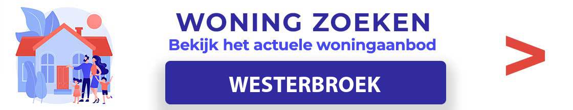 woning-te-koop-westerbroek
